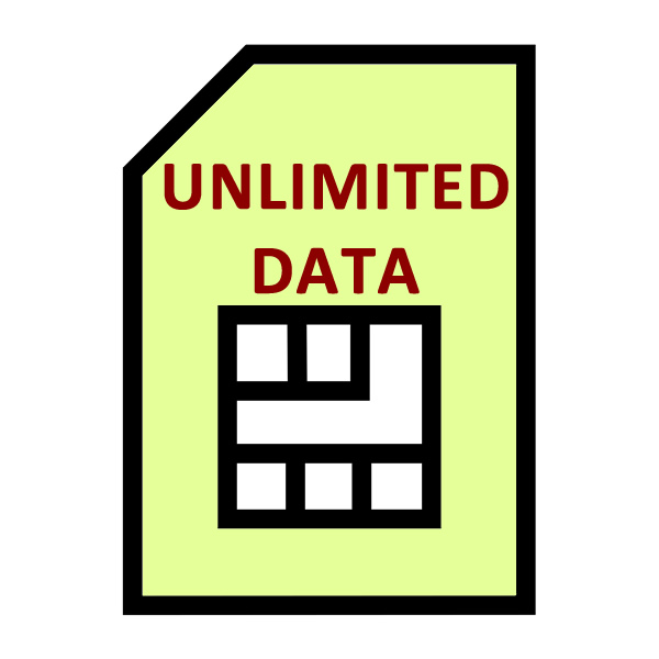Unlimited Data Fixed IP SIM Card